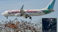 Caribbean Airlines passenger gives birth aboard NY-bound flight â as airport officials suggest crafty name for newborn